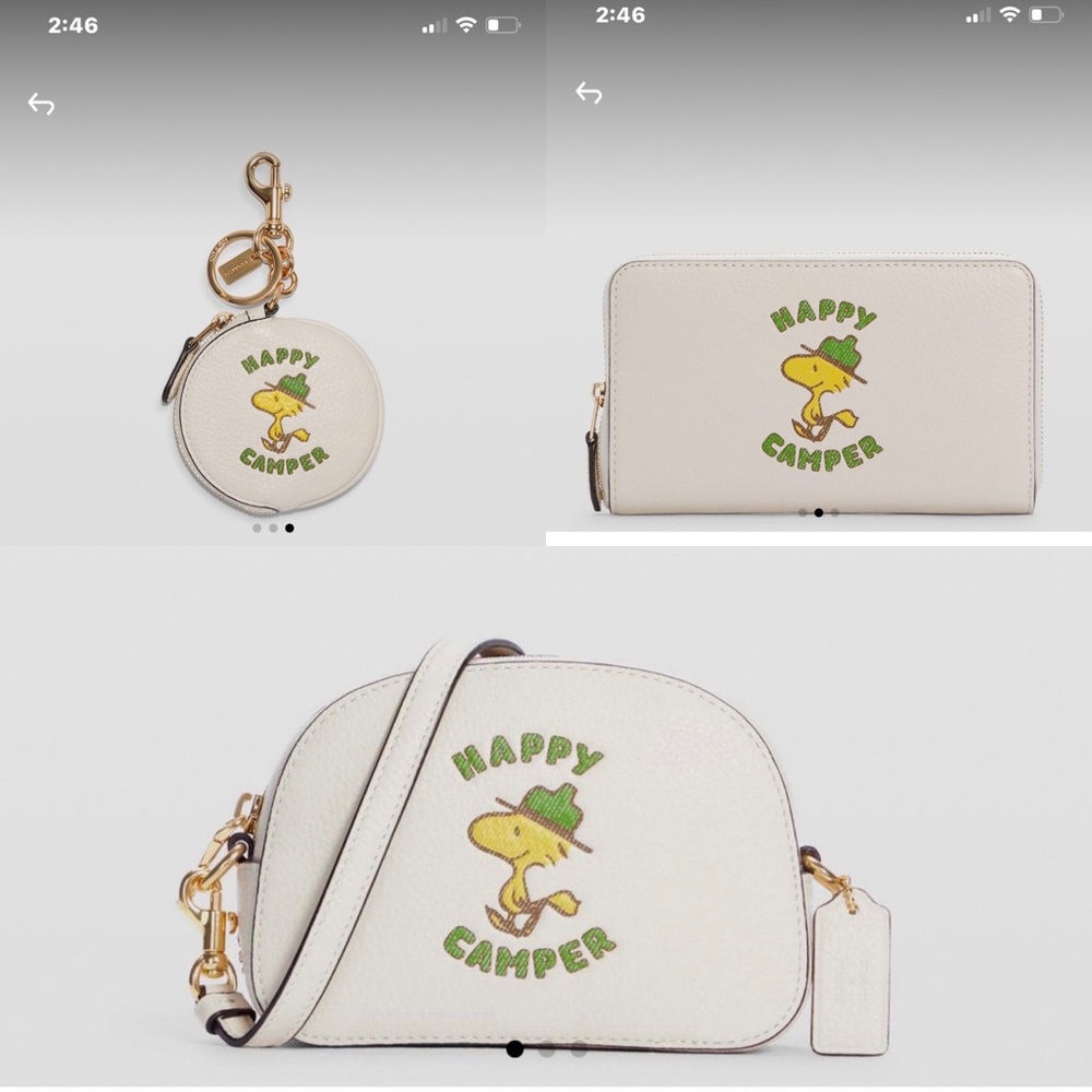 Coach bag